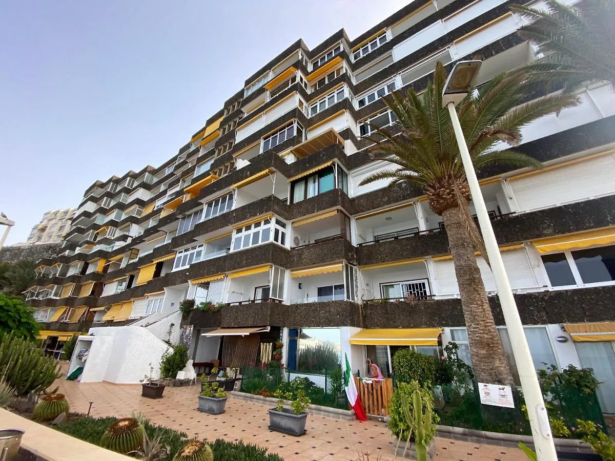 Exclusives Apartment 10 Meters To Ocean Maspalomas   Maspalomas (Gran Canaria)